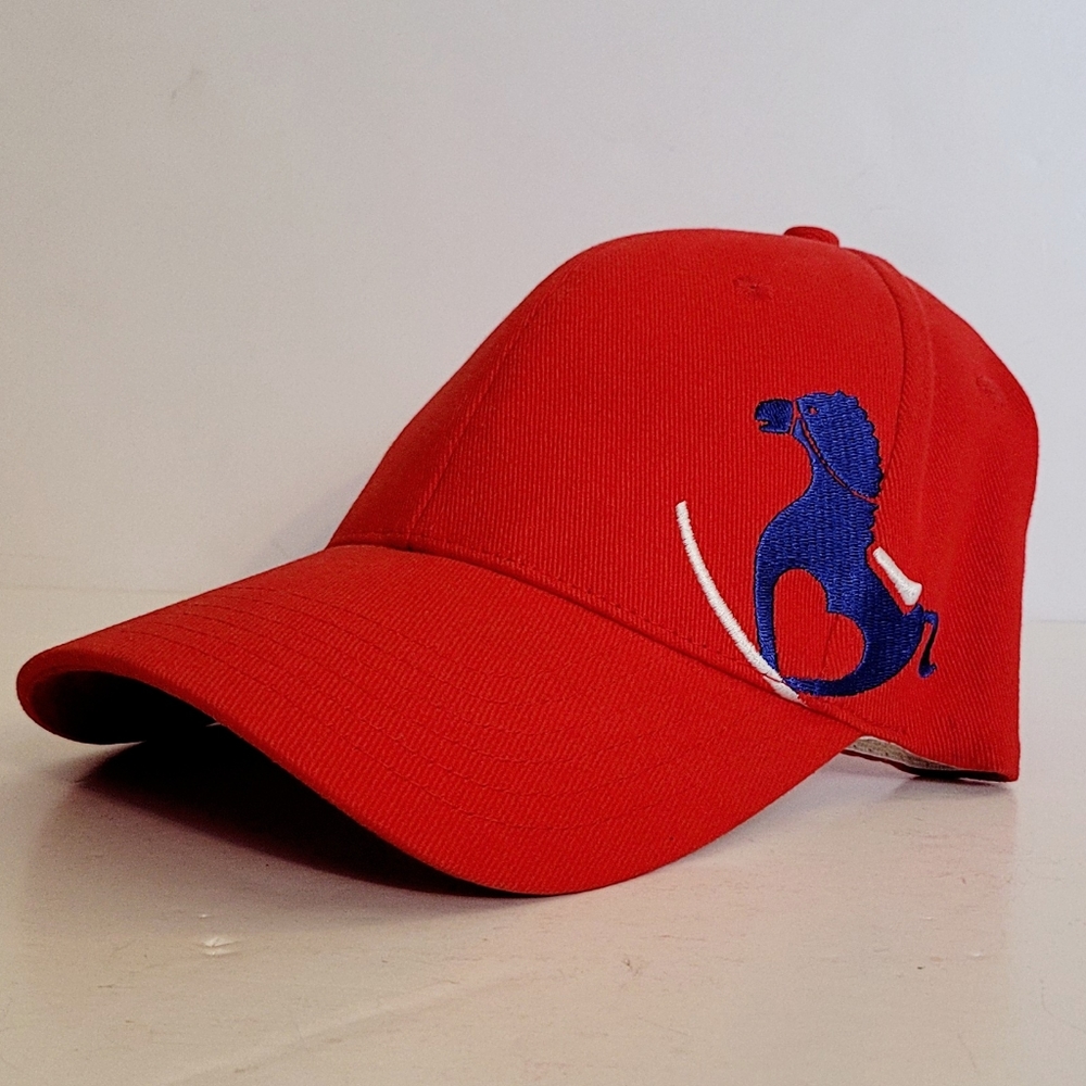 NWOT red cap